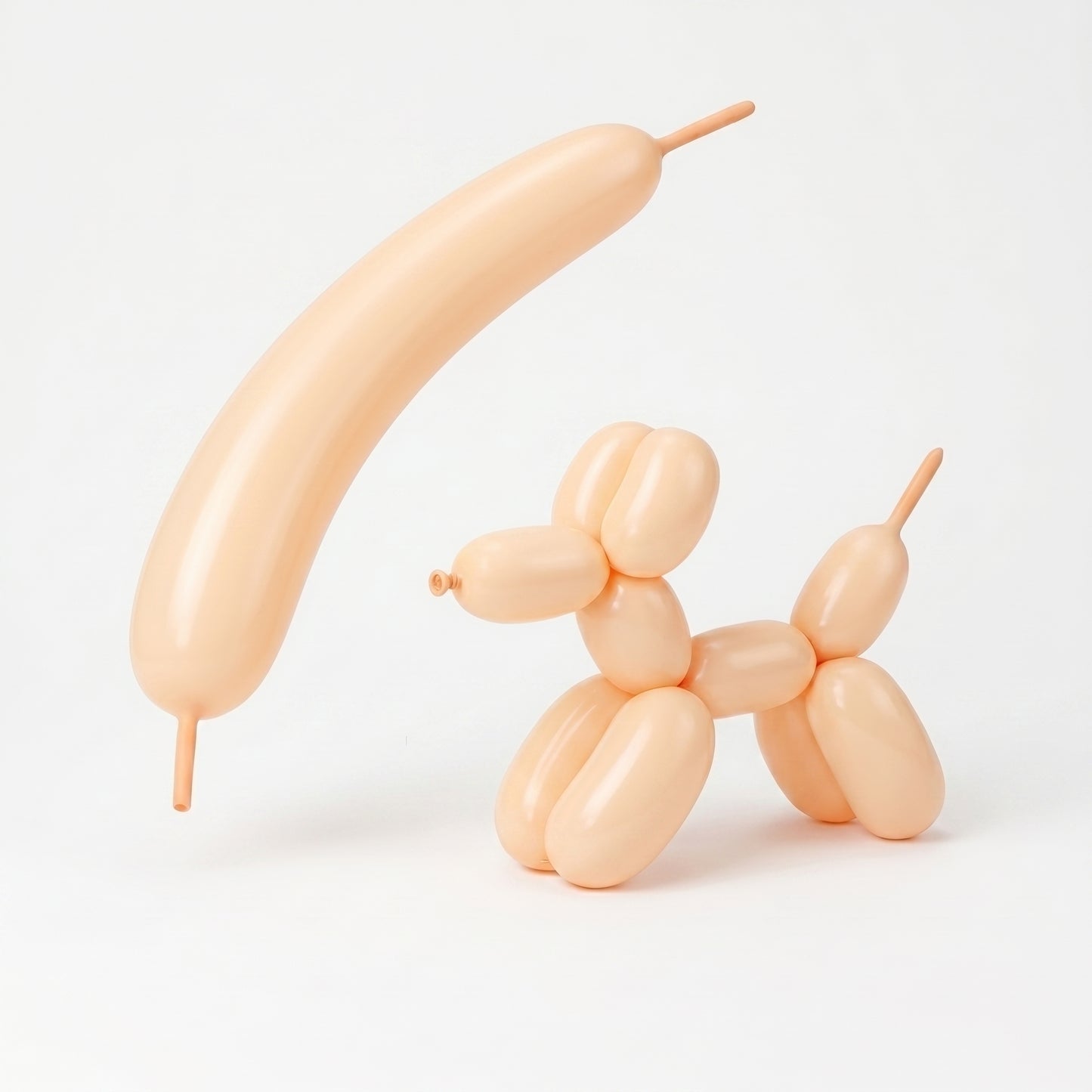 Macaron Salmon 260 twisting balloons