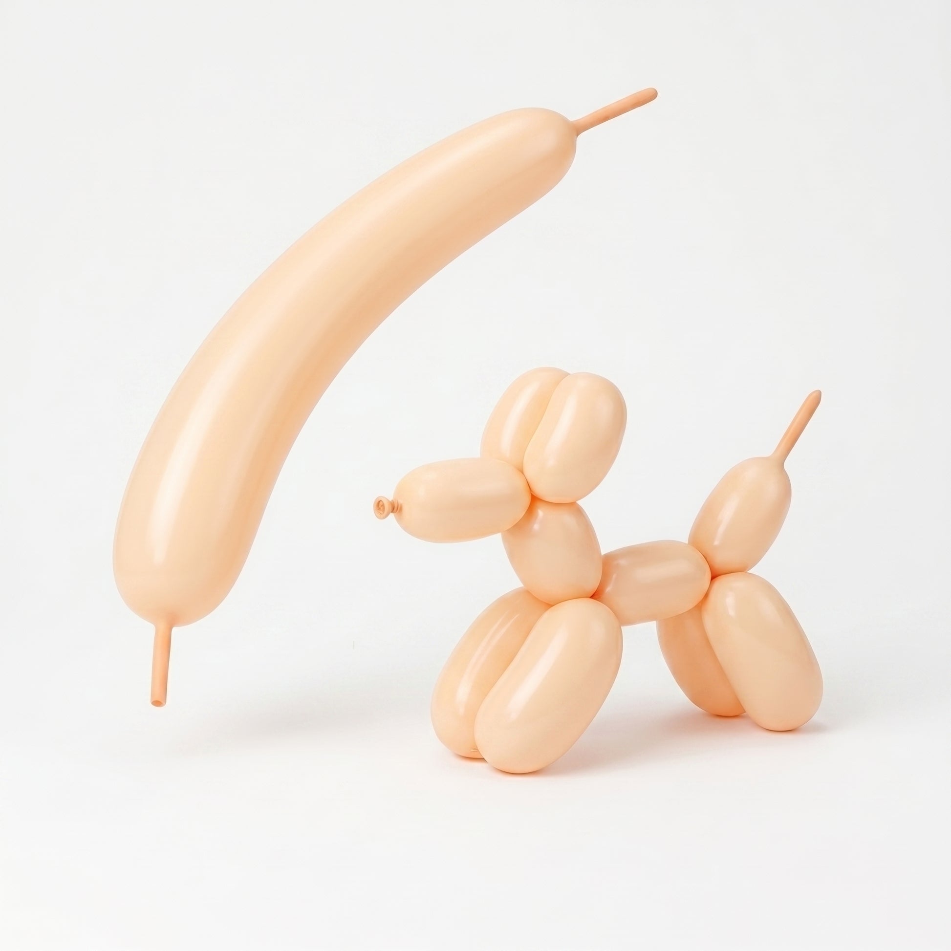 Macaron Salmon 260 twisting balloons