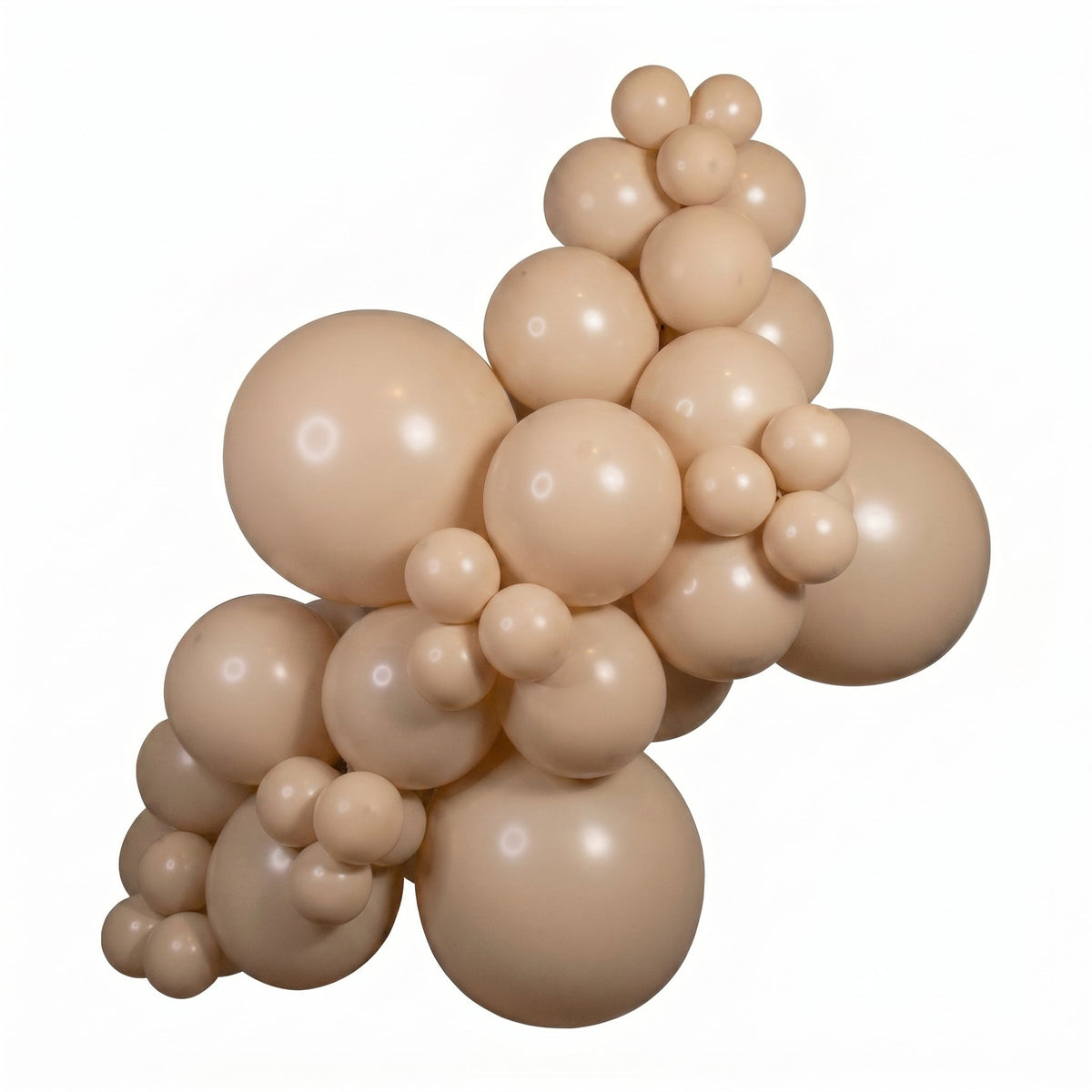 Hazelnut