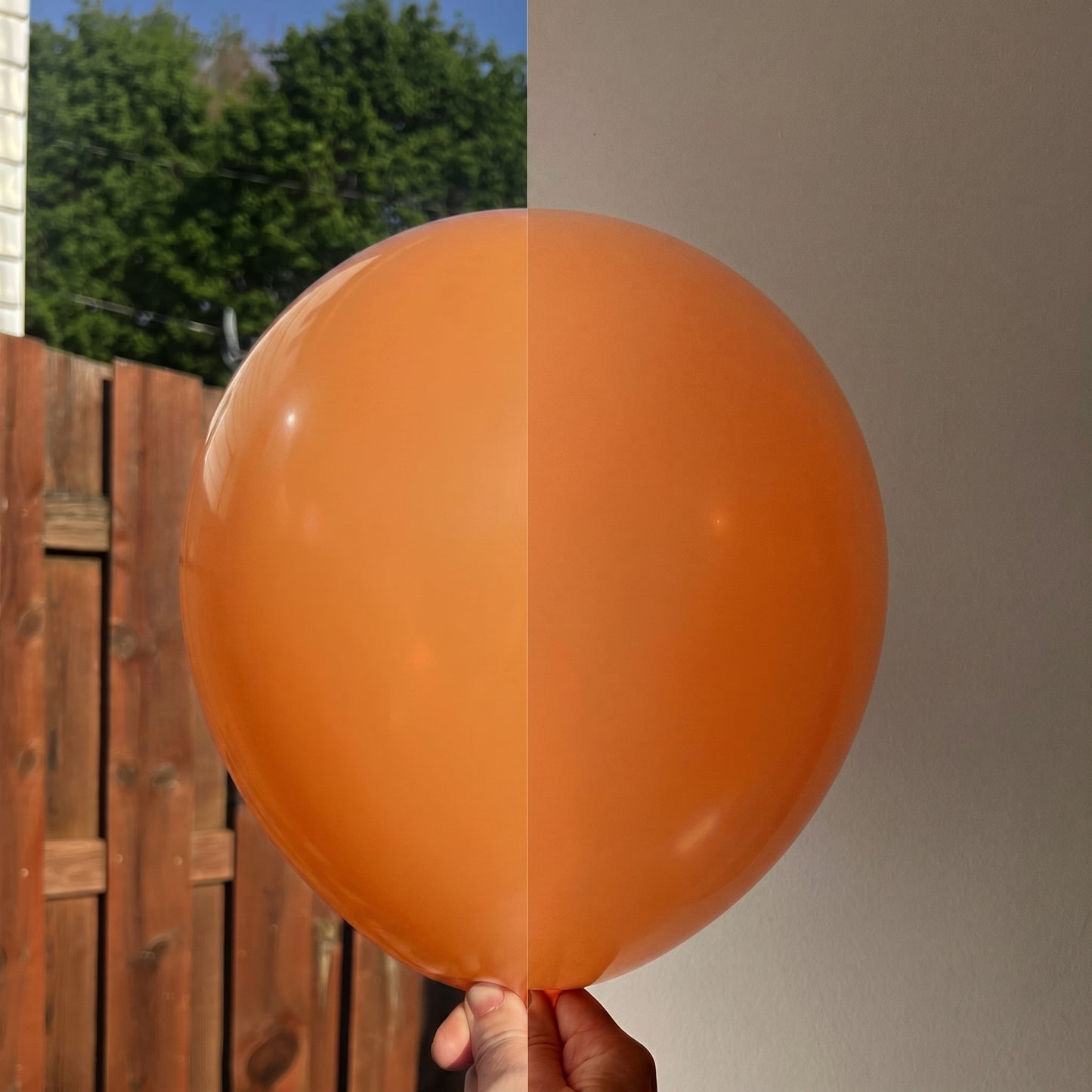 Orange balloon shown indoors and outdoors