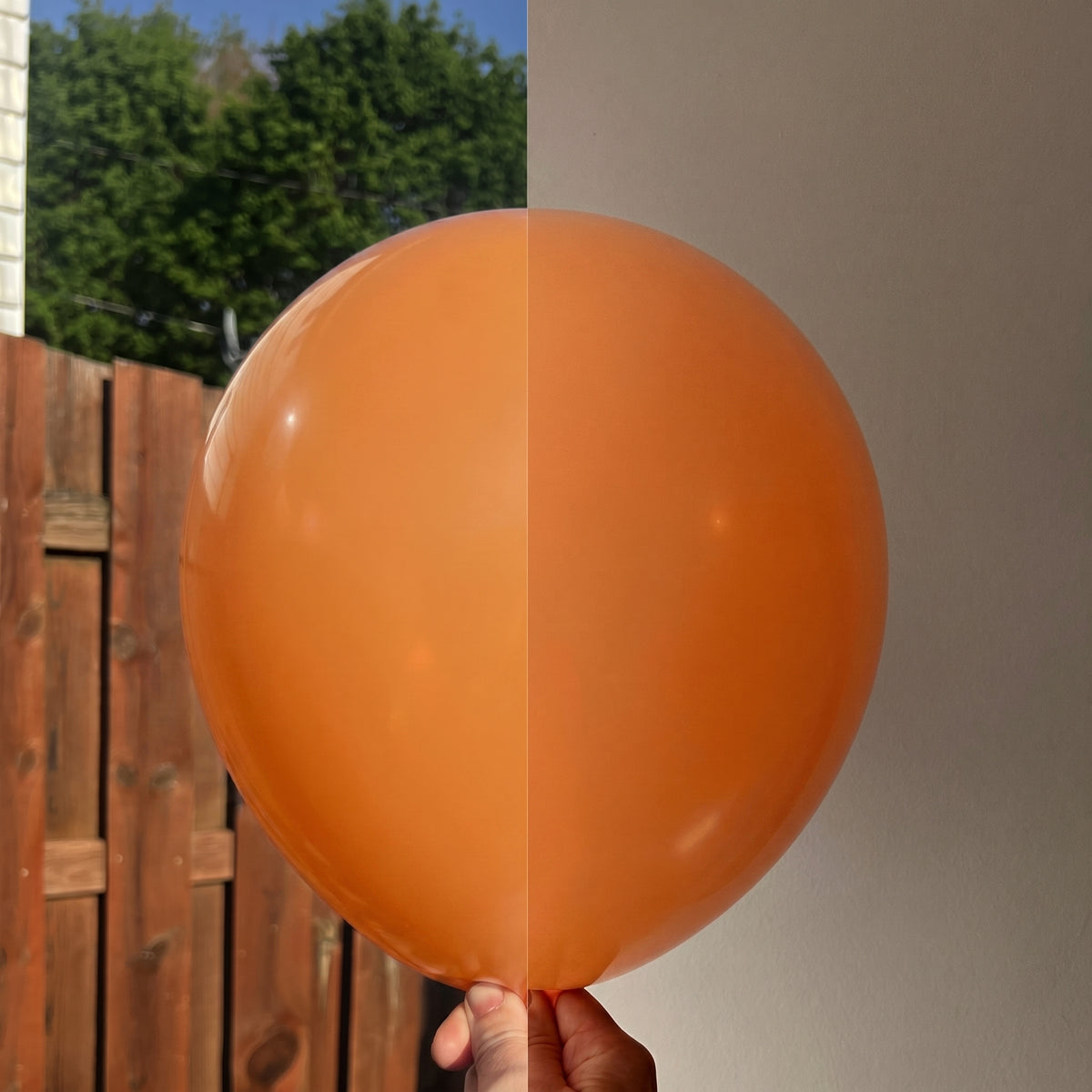 Orange balloon shown indoors and outdoors