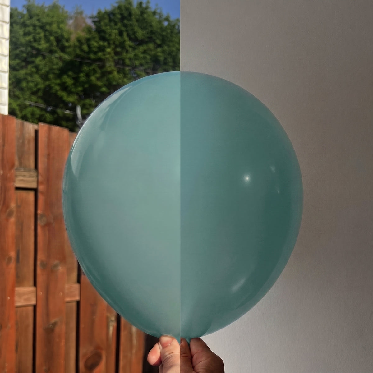 Sage Green balloon shown indoors and outdoors